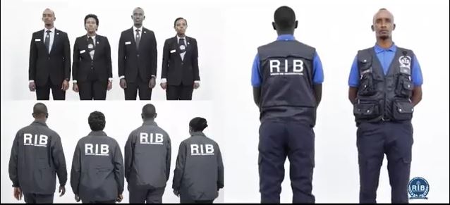 RIB OG