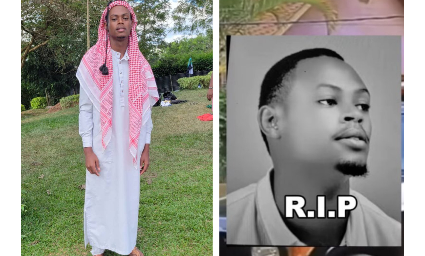 3969_bdce95adc33f2408c2e357355fd4a699