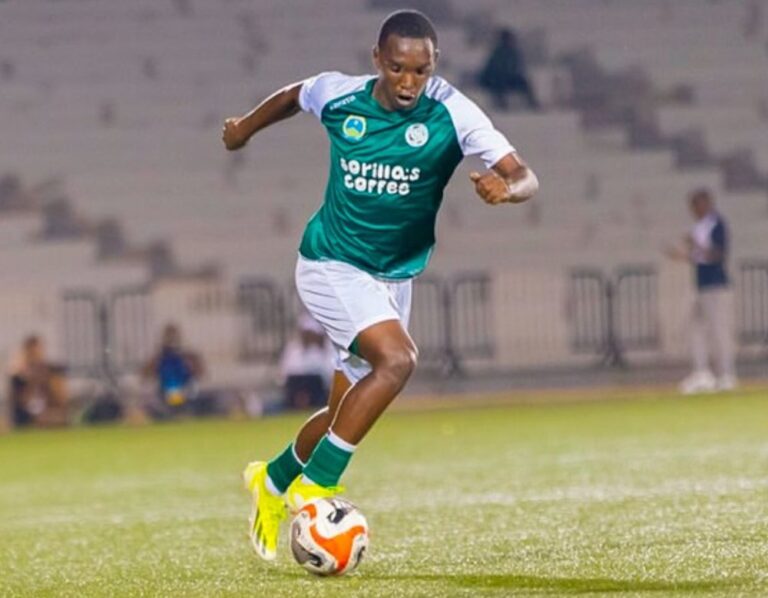 g8ehgczwmaa6qha-66c60